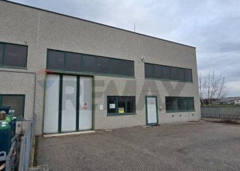 Edificio all\'aperto - Capannone Via alighieri
 
40, Riva del Po - foto 21