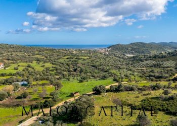 Foto 2 - Casa indipendente Via Sarcidano, Budoni - foto 2