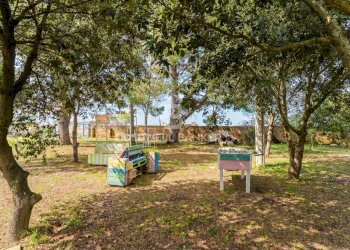 Foto 41 - Villa Via Carignano Grande, Nardò - foto 41