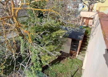 Giardino - Rustico via del Protettore
 
2, San Pio delle Camere - foto 27