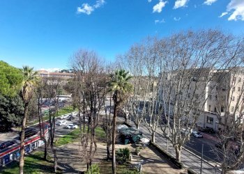 Foto 19 - Attico Viale Delle Milizie, Roma - foto 19