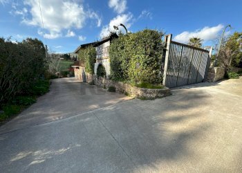 Foto 47 - Locale Commerciale C.da piano Di Cola
snc, Santa Cristina Gela - foto 47