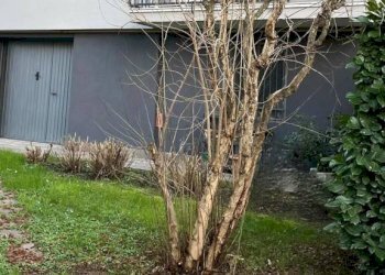 Trilocale Agrate Brianza - foto 32