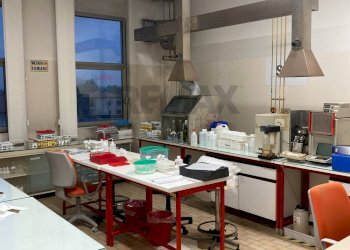 Cucina - Stabile - Palazzo Villafranca Padovana - foto 15