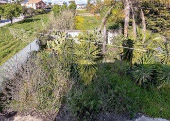 Giardino - Villa via biscari
 
45, Comiso - foto 71