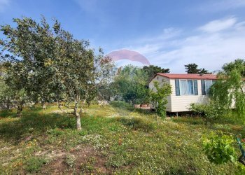 Giardino - Agricultural land Ragusa - photo 13