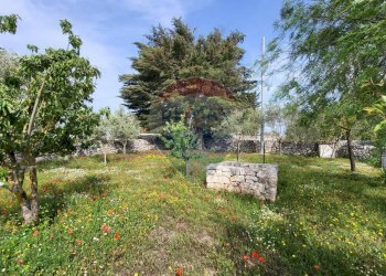 Giardino - Agricultural land Ragusa - photo 16