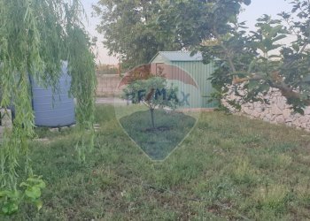 Giardino - Agricultural land Ragusa - photo 21