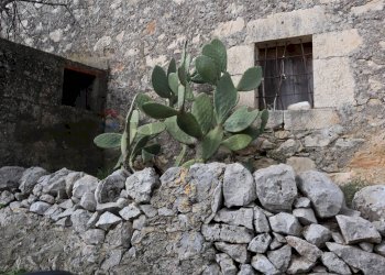 Giardino - Rustico C.da Ciantarato
 
snc, Ragusa - foto 6