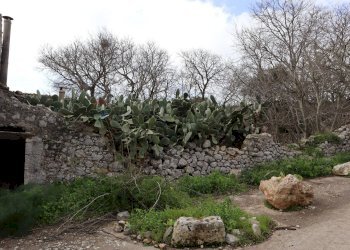 Giardino - Rustico C.da Ciantarato
 
snc, Ragusa - foto 8