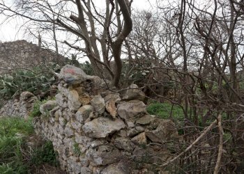 Giardino - Rustico C.da Ciantarato
 
snc, Ragusa - foto 11