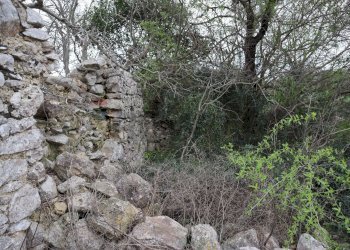 Giardino - Rustico C.da Ciantarato
 
snc, Ragusa - foto 18