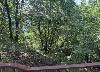 Non correlato - Casa indipendente Via Monte Scalambra
 
snc, Serrone - foto 16
