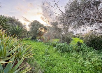 Foto 37 - Villa Strada Vicinale Monte Oro
 
50 B, Sassari - foto 37