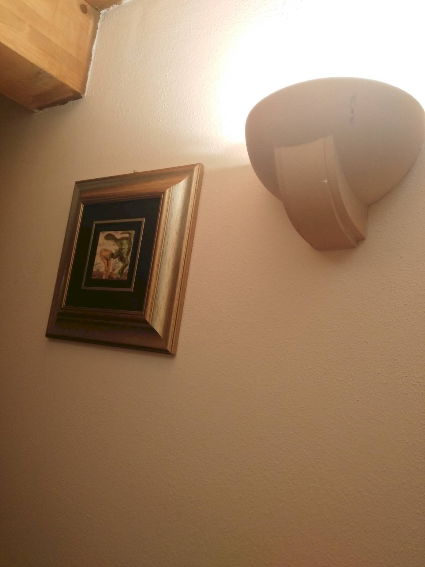 Foto 3 - Trilocale Corso Saffi
 
00, Faenza - foto 3