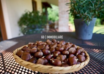 Foto 18 - Villa VIA 18 GIUGNO
 
48, Montebelluna - foto 18