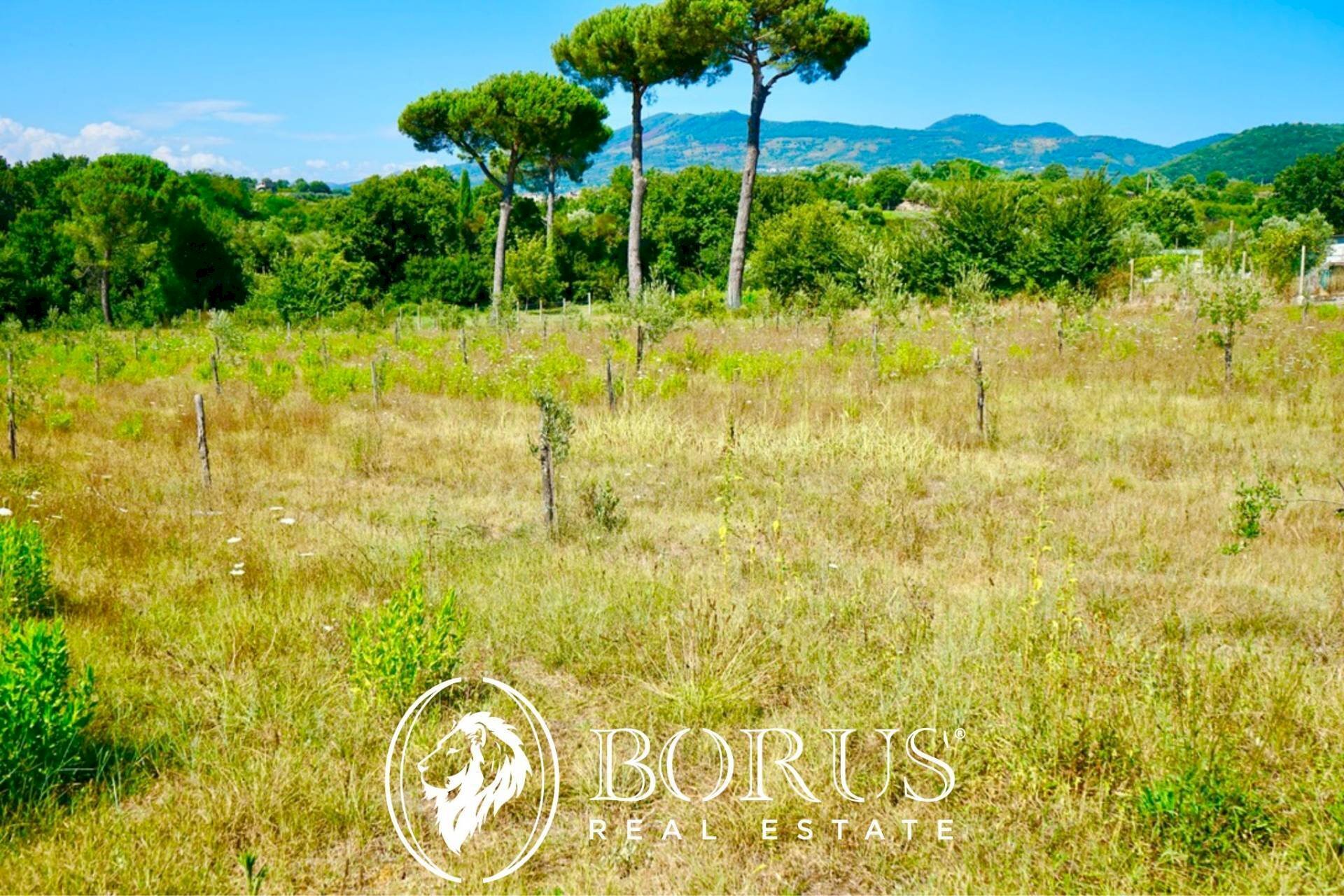 Foto 1 - Terreno agricolo Via Travata, Sessa Aurunca - foto 1