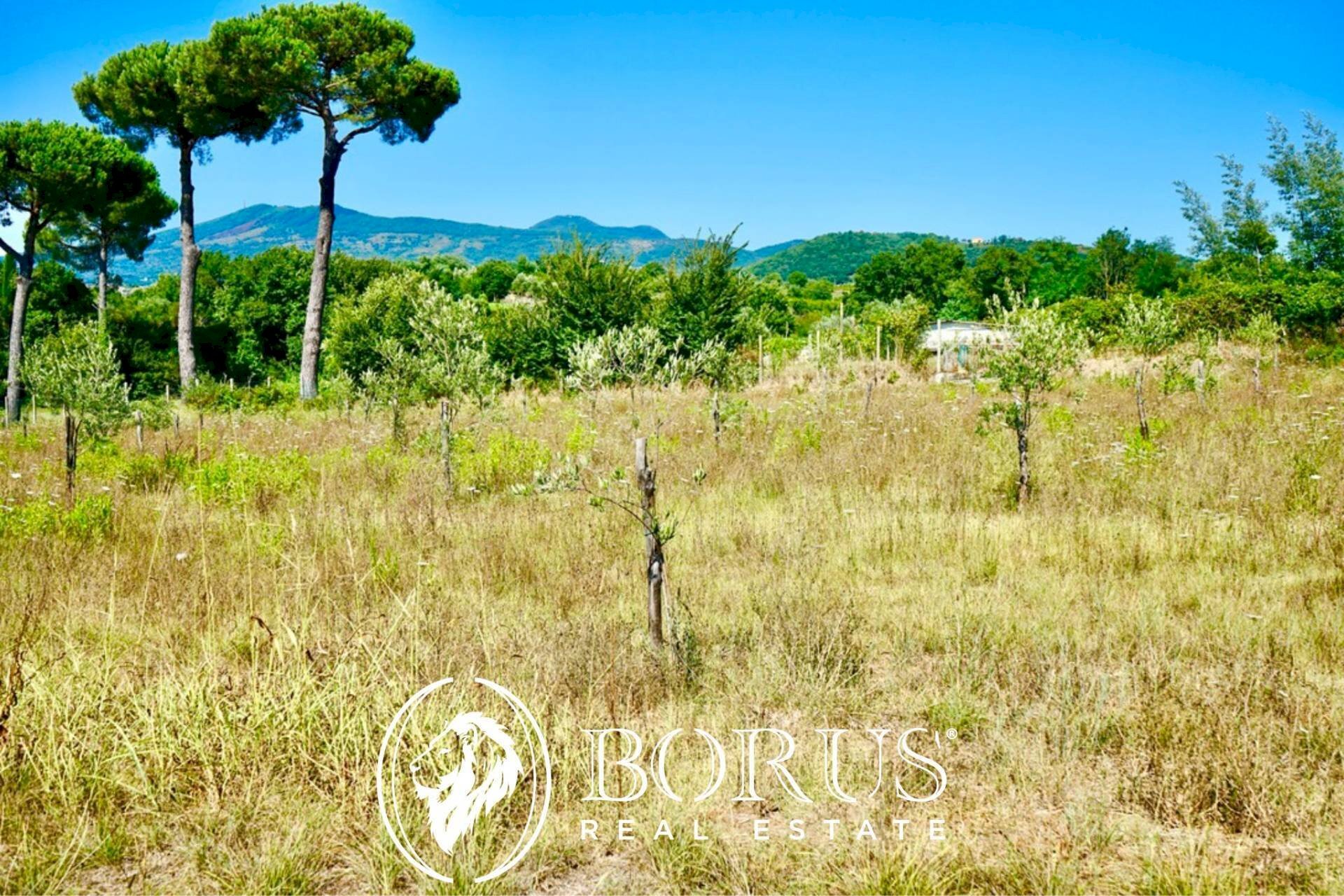 Foto 2 - Terreno agricolo Via Travata, Sessa Aurunca - foto 2