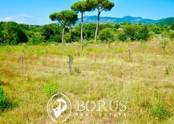 Foto 1 - Terreno agricolo Via Travata, Sessa Aurunca - foto 1