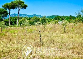 Foto 2 - Terreno agricolo Via Travata, Sessa Aurunca - foto 2