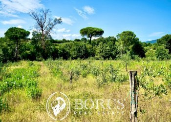 Foto 3 - Terreno agricolo Via Travata, Sessa Aurunca - foto 3