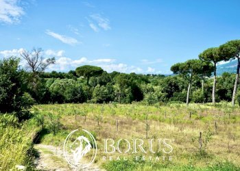 Foto 4 - Terreno agricolo Via Travata, Sessa Aurunca - foto 4