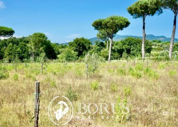 Foto 6 - Terreno agricolo Via Travata, Sessa Aurunca - foto 6