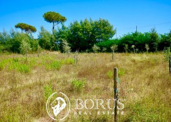 Foto 7 - Terreno agricolo Via Travata, Sessa Aurunca - foto 7