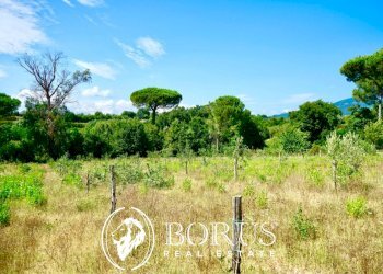 Foto 9 - Terreno agricolo Via Travata, Sessa Aurunca - foto 9