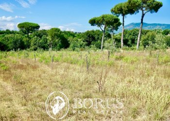 Foto 10 - Terreno agricolo Via Travata, Sessa Aurunca - foto 10