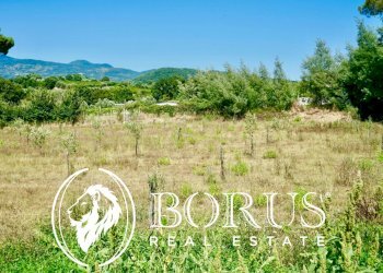 Foto 11 - Terreno agricolo Via Travata, Sessa Aurunca - foto 11