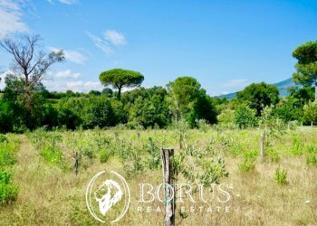 Foto 12 - Terreno agricolo Via Travata, Sessa Aurunca - foto 12