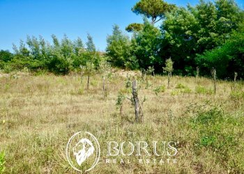 Foto 14 - Terreno agricolo Via Travata, Sessa Aurunca - foto 14