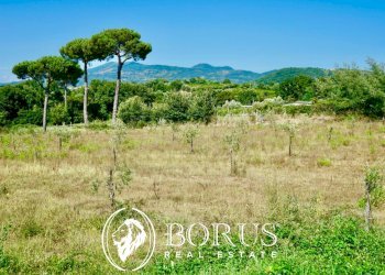 Foto 15 - Terreno agricolo Via Travata, Sessa Aurunca - foto 15