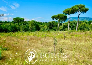 Foto 16 - Terreno agricolo Via Travata, Sessa Aurunca - foto 16