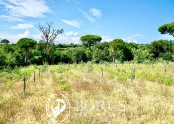 Foto 17 - Terreno agricolo Via Travata, Sessa Aurunca - foto 17