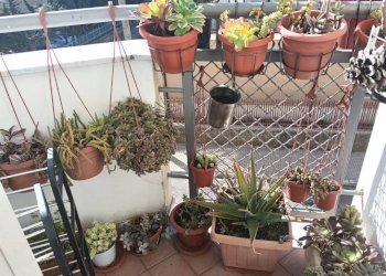 Terrazzo - Bilocale via Vittorio Veneto, Gaeta - foto 3