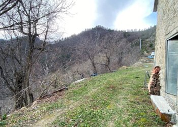 Foto 34 - Rustico Strada per Buggiana, Civitella di Romagna - foto 34