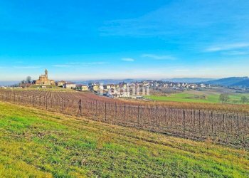 Terreno - Villa Camino - foto 12