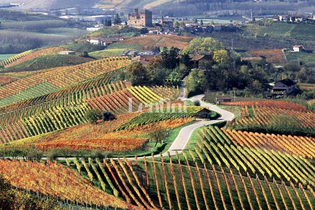 Terreno - Terreno agricolo Località Cascina Montalbano, 59A, Rosignano Monferrato - foto 1