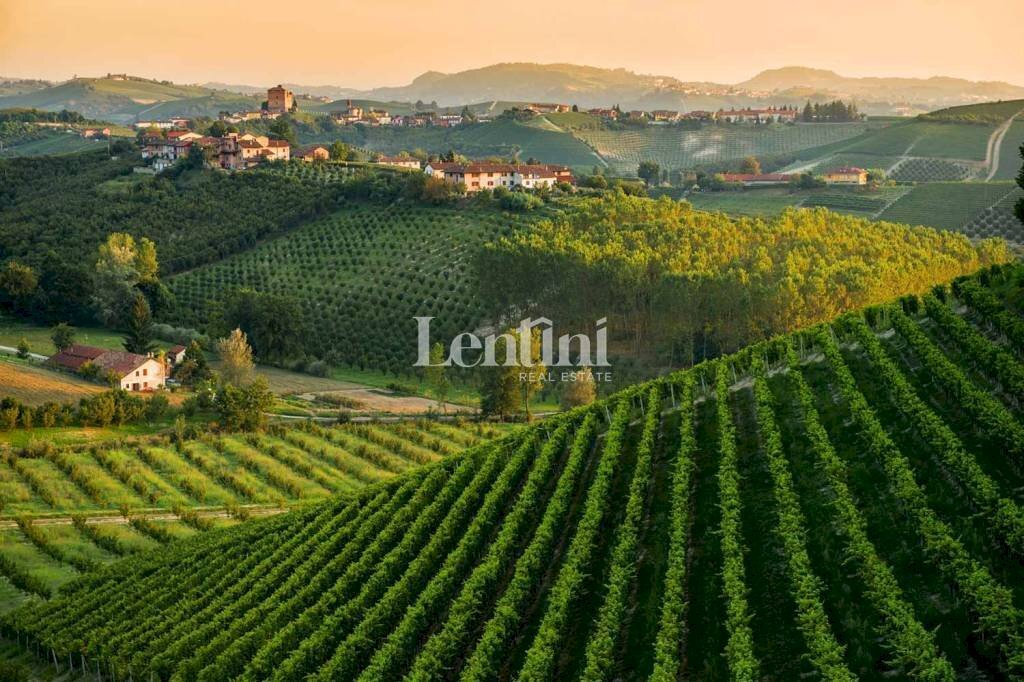 Vista - Terreno agricolo Località Cascina Montalbano, 59A, Rosignano Monferrato - foto 2