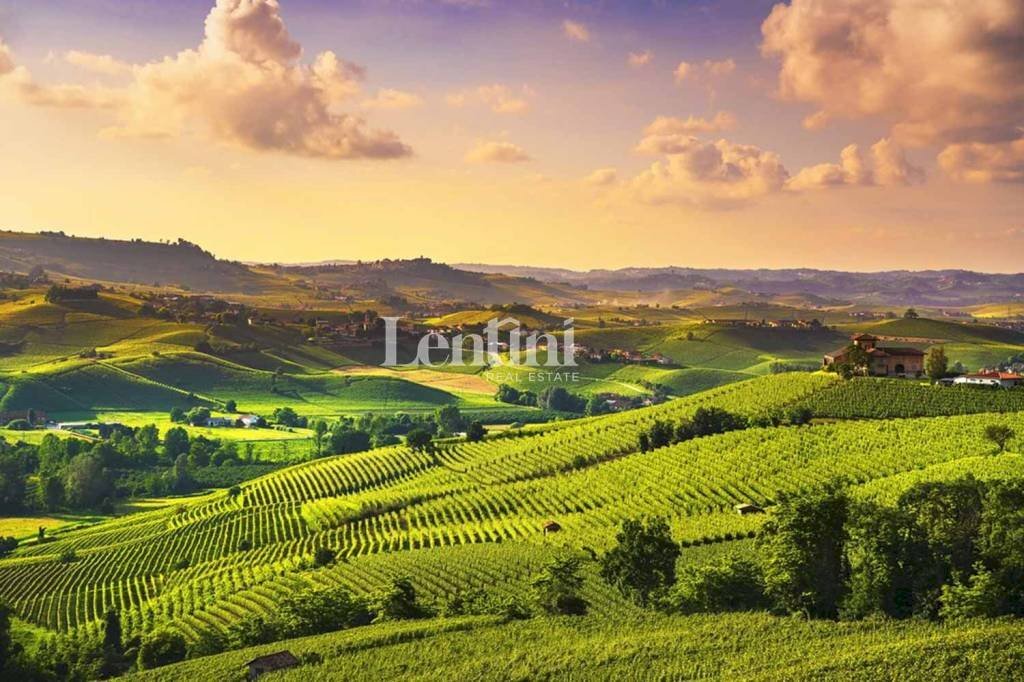 Vista - Terreno agricolo Località Cascina Montalbano, 59A, Rosignano Monferrato - foto 3