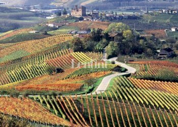 Terreno - Terreno agricolo Località Cascina Montalbano, 59A, Rosignano Monferrato - foto 1