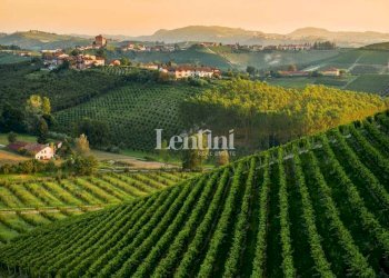 Vista - Terreno agricolo Località Cascina Montalbano, 59A, Rosignano Monferrato - foto 2