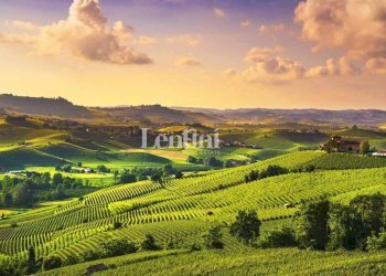 Vista - Terreno agricolo Località Cascina Montalbano, 59A, Rosignano Monferrato - foto 3