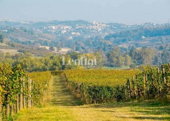 Zona - Terreno agricolo Località Cascina Montalbano, 59A, Rosignano Monferrato - foto 4