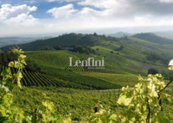 Zona - Terreno agricolo Località Cascina Montalbano, 59A, Rosignano Monferrato - foto 5
