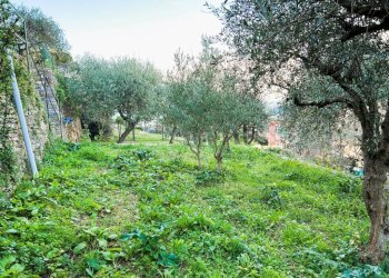 Terreno - Villa via Aurelia, 38, Camogli - foto 15