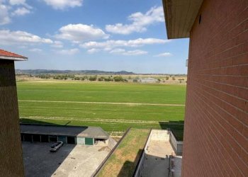 Vista - Appartamento via Boves, 5x, Alessandria - foto 28