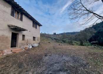 Foto 2 - Casa indipendente Torgiano - foto 2